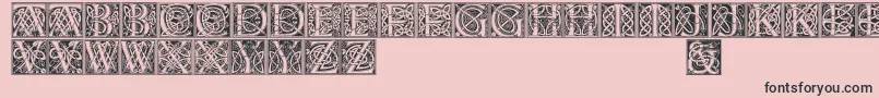 Celticeels Font – Black Fonts on Pink Background