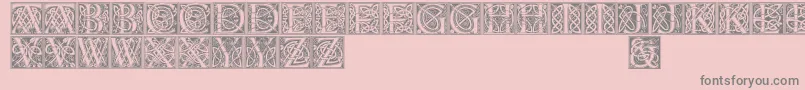 Celticeels Font – Gray Fonts on Pink Background