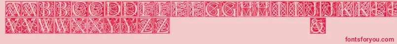 Celticeels Font – Red Fonts on Pink Background