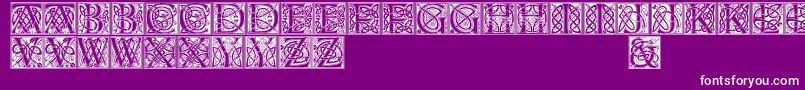 Celticeels Font – White Fonts on Purple Background