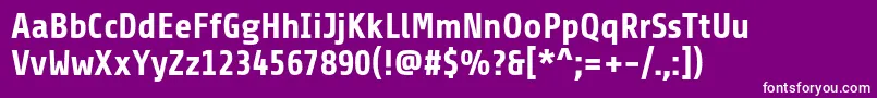 ShareBold Font – White Fonts on Purple Background