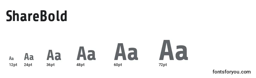 Tamanhos de fonte ShareBold (103255)