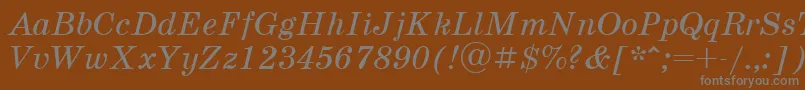SchoolbookcttItalic Font – Gray Fonts on Brown Background