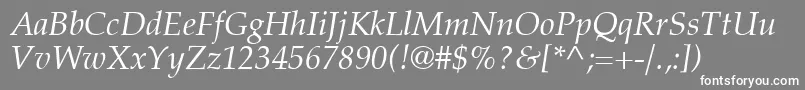 CriteriaSsiItalic Font – White Fonts on Gray Background