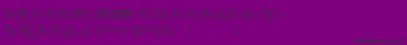 AracmeWaround-Schriftart – Schwarze Schriften auf violettem Hintergrund