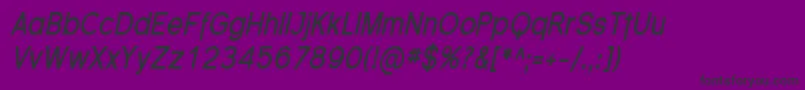 FlorencesansCondBoldItalic Font – Black Fonts on Purple Background