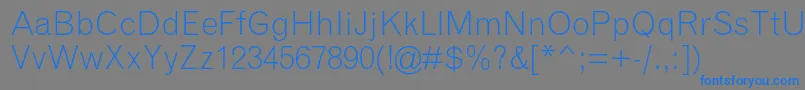 GrotesquemtstdLight Font – Blue Fonts on Gray Background
