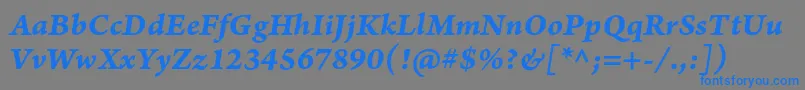 ArnoproBolditaliccaption Font – Blue Fonts on Gray Background