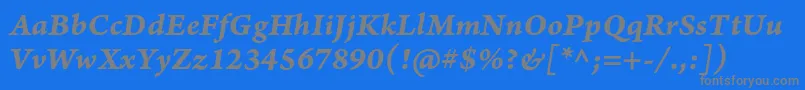 ArnoproBolditaliccaption Font – Gray Fonts on Blue Background