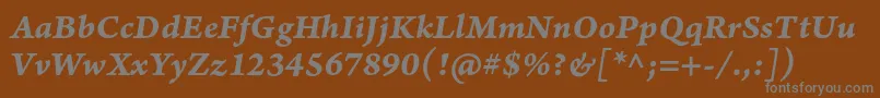ArnoproBolditaliccaption Font – Gray Fonts on Brown Background