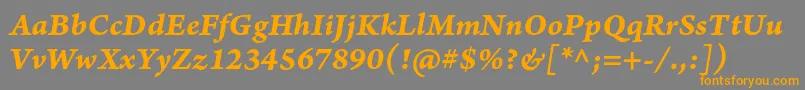 ArnoproBolditaliccaption Font – Orange Fonts on Gray Background