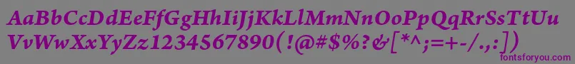 ArnoproBolditaliccaption Font – Purple Fonts on Gray Background