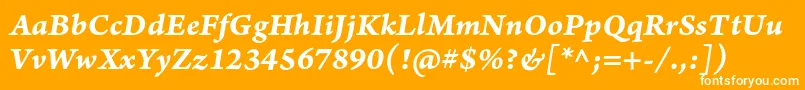 ArnoproBolditaliccaption Font – White Fonts on Orange Background