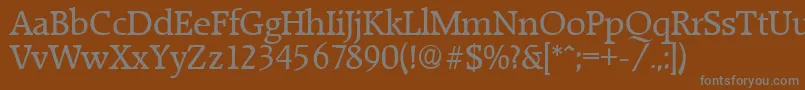 フォントRaleighSerialRegularDb – 茶色の背景に灰色の文字