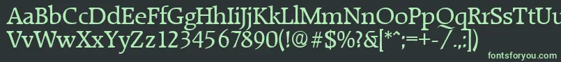 RaleighSerialRegularDb Font – Green Fonts on Black Background