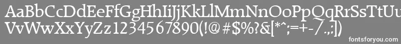 RaleighSerialRegularDb Font – White Fonts on Gray Background