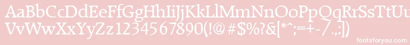 RaleighSerialRegularDb Font – White Fonts on Pink Background