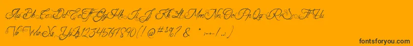 TheFabulousOrchestra Font – Black Fonts on Orange Background