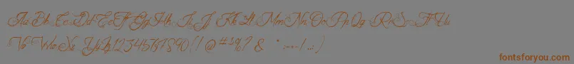 TheFabulousOrchestra Font – Brown Fonts on Gray Background