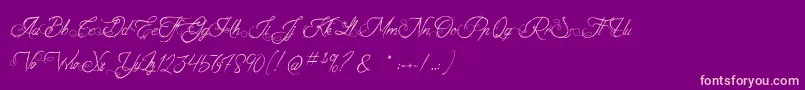 TheFabulousOrchestra Font – Pink Fonts on Purple Background