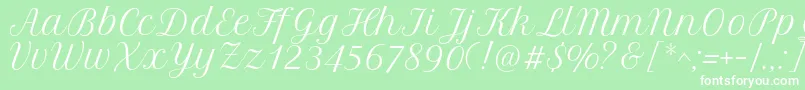 PetitformalscriptRegular Font – White Fonts on Green Background