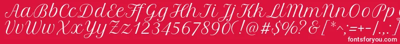 PetitformalscriptRegular Font – White Fonts on Red Background