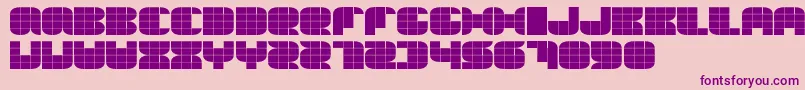 Thesummeredition Font – Purple Fonts on Pink Background