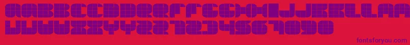 Thesummeredition Font – Purple Fonts on Red Background