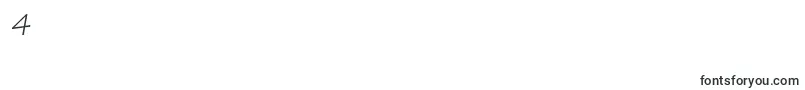 TektonproObl Font – Fonts for Digit 4