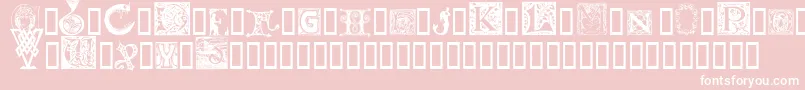 Initials Font – White Fonts on Pink Background