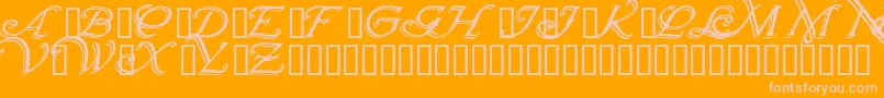 Wrenninitialsshadowed-Schriftart – Rosa Schriften auf orangefarbenem Hintergrund