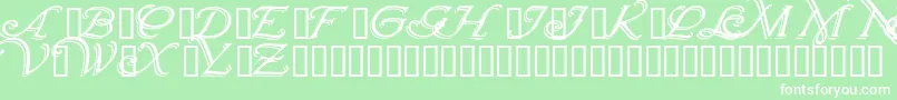 Wrenninitialsshadowed Font – White Fonts on Green Background