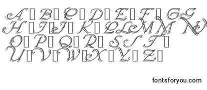 Wrenninitialsshadowed Font