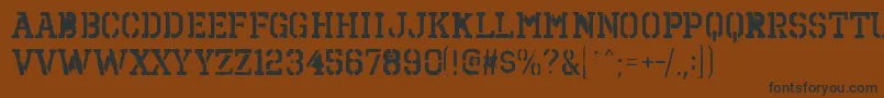 OctinspraypaintbrgBold Font – Black Fonts on Brown Background