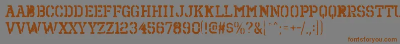 OctinspraypaintbrgBold Font – Brown Fonts on Gray Background