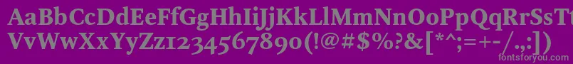 OctavaoscBold-Schriftart – Graue Schriften auf violettem Hintergrund