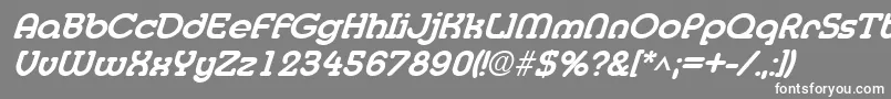 MedflyextraboldItalic Font – White Fonts on Gray Background