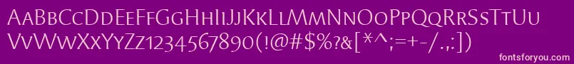 SyndorScItcTtBook Font – Pink Fonts on Purple Background