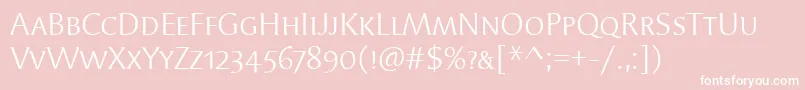 SyndorScItcTtBook Font – White Fonts on Pink Background