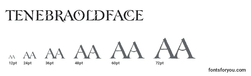 Размеры шрифта Tenebraoldface
