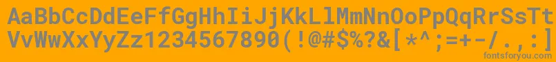 RobotomonoBold Font – Gray Fonts on Orange Background