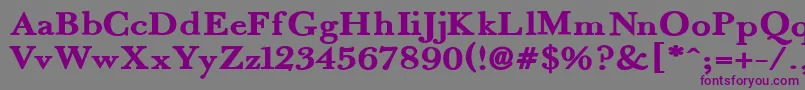 Fradex Font – Purple Fonts on Gray Background