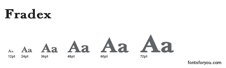 Fradex Font Sizes