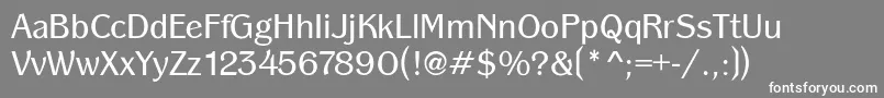 PanacheBook Font – White Fonts on Gray Background
