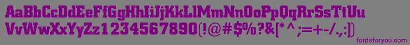 Шрифт Coliseumblackc – фиолетовые шрифты на сером фоне
