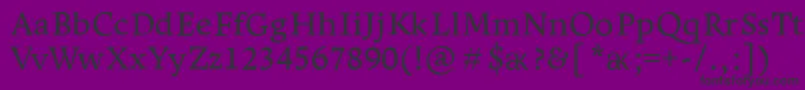 LeksaproDemibold Font – Black Fonts on Purple Background