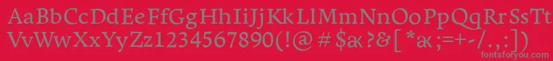 LeksaproDemibold Font – Gray Fonts on Red Background