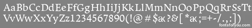 LeksaproDemibold Font – White Fonts on Gray Background