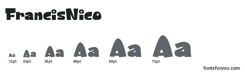 FrancisNico Font Sizes