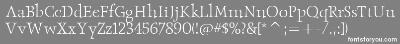 ObeliskitcTtLight Font – White Fonts on Gray Background